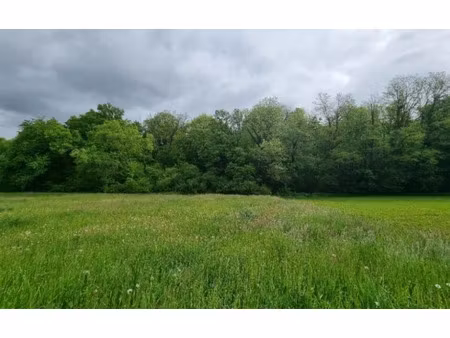 vente terrain 812 m² à wentzwiller (68220)  170 000 €