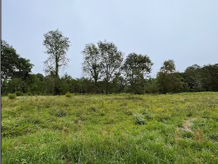 vente terrain 610 m² à bénesse-maremne (40230)  234 000 €