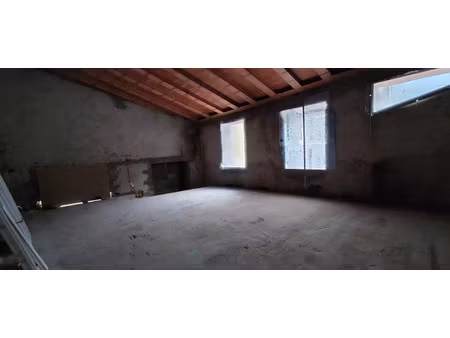 vente locaux professionnels 87 m² à vinça (66320)  51 000 €