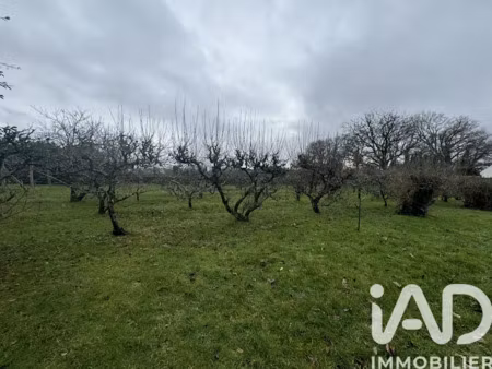 vente terrain 1070 m² à le bono (56400)  382 000 €