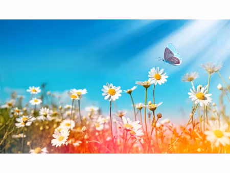 vente terrain 700 m² à gujan-mestras (33470)  420 000 €