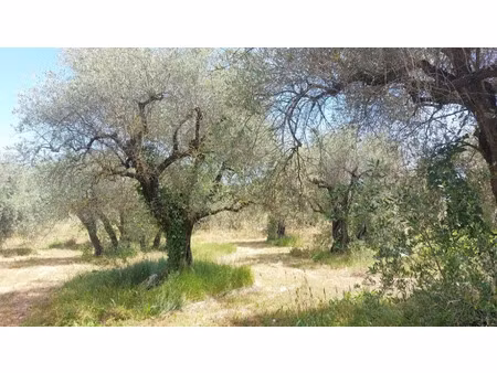 vente terrain 2550 m² à opio (06650)  550 000 €