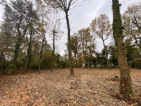 vente terrain 900 m² à gujan-mestras (33470)  390 000 €