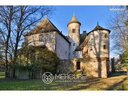 chateau 11 pièces 720 m²
