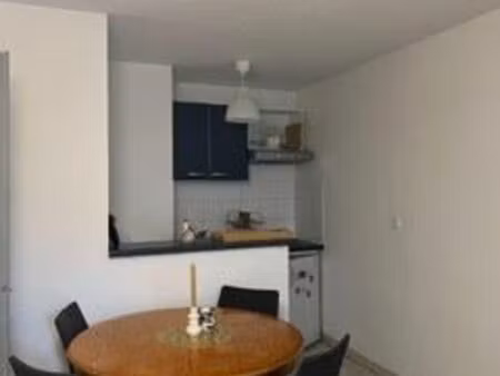 t1 meublé de 33m2 avec terrasse  côte pavée