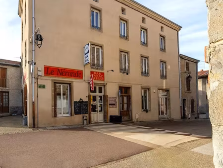 vente immeuble 10 pièces 270 m² à neronde (42510)  130 000 €