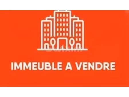 vente immeuble 17 pièces 515 m² à gundershoffen (67110)  529 000 €