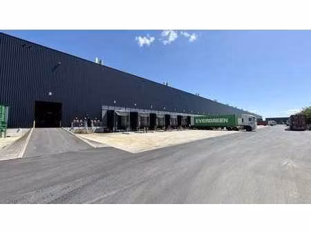 entrepôt logistique à louer dans la zi de hulst à willebroe