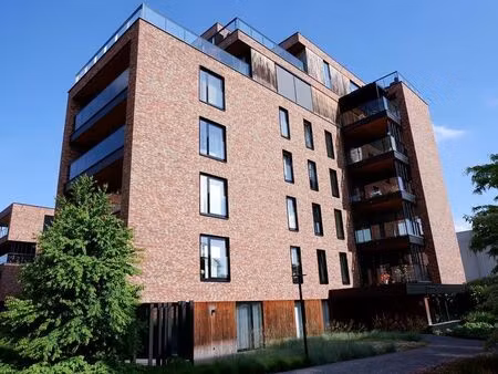 appartement à louer à sint-truiden € 1.065 (k5vcx) - imanex | zimmo