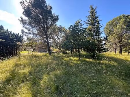 terrain constructible viabilisé à vendre