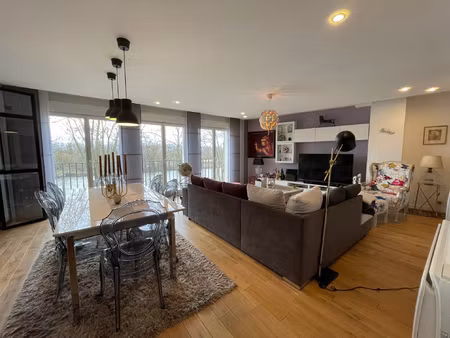 appartement de standing vue loire plein sud aucun travau