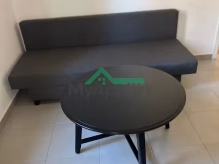 location meublée appartement 2 pièces 47 m² à strasbourg (67000)  830 €