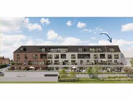 appartements neufs exclusifs à bertem!