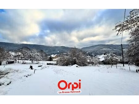 terrain saulxures-sur-moselotte m² t- à vendre  41 000 €