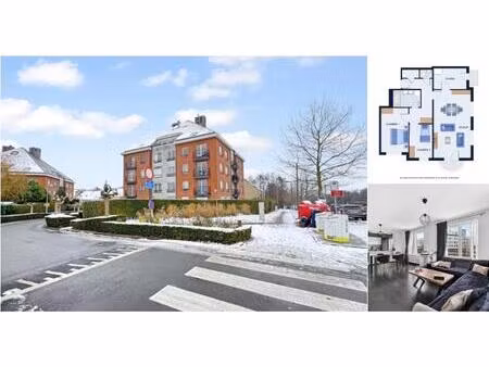 appartement à louer à avenue du bourgmestre jean neybergh 41 jette (vbd73961)