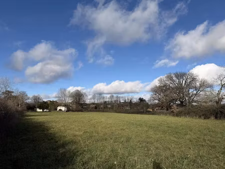 vente terrain 5707 m² à pampelonne (81190)  45 000 €