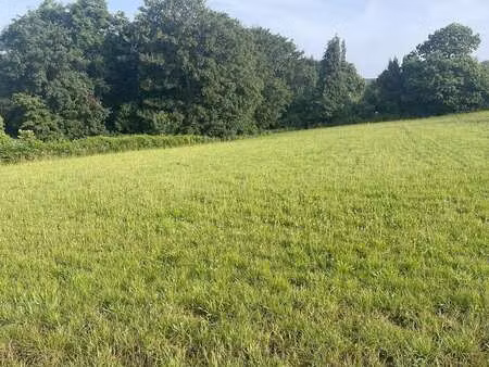 vente terrain à plouha (22580) : à vendre / 1063m² plouha