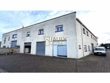local d'activité en za & zfu - avec bureaux 172 m²