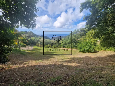 case pilote : exclusivité terrain vue mer  divisible