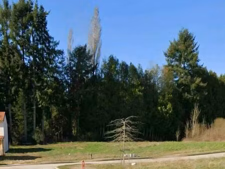 terrain constructible