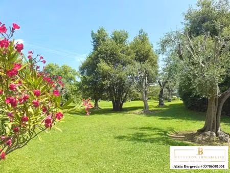 appartement à vendre cannes