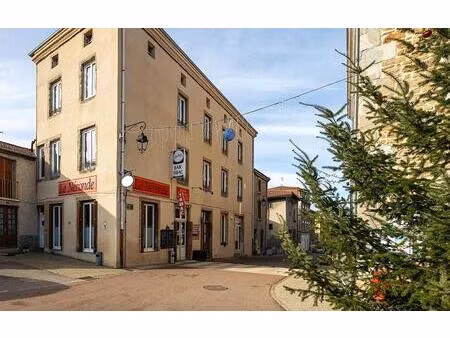 achat immeuble 270m² neronde 42510