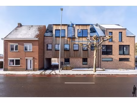 appartement te huur in hoogstraten met 1 slaapkamer