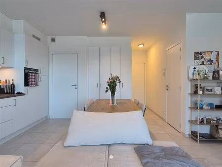 appartement te huur in nieuwkerken-waas met 1 slaapkamer