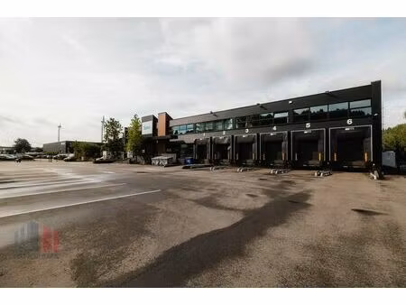 commercieel te huur in bornem