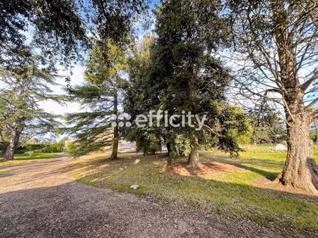 vente maison 4 pièces 161 m² à lussac (33570)  180 000 €