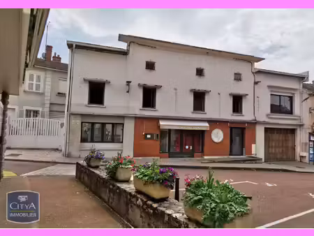 immeuble à vendre 480 m² - saint-martin-d'estréaux (42) - 59 000€