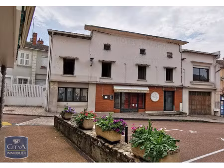 immeuble à vendre 480 m² - saint-martin-d'estréaux (42) - 88 000€