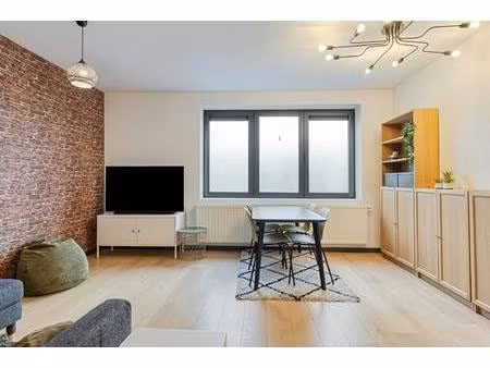 instapklaar  gezellig appartement met veel lichtinval