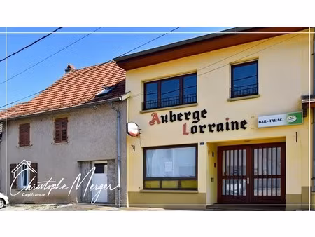 maison à vendre 4 chambres 170 m² à gosselming (57) proche de sarrebourg  avec grand terra