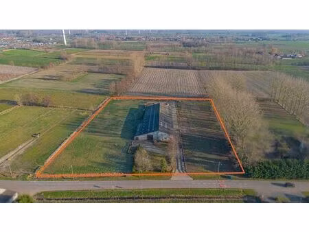laarne- landbouweigendom met geïntegreerde woning