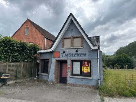 commerciële eigendom te koop in denderbelle