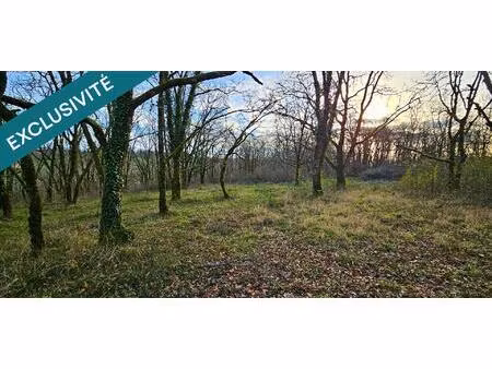 vente terrain 2222 m² végennes (19120)