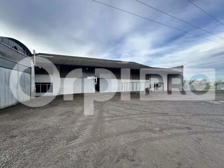 local d'activite a vendre