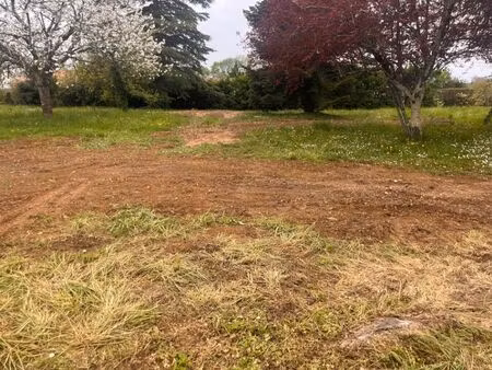 vente terrain 1300 m² cadillac-sur-garonne (33410)