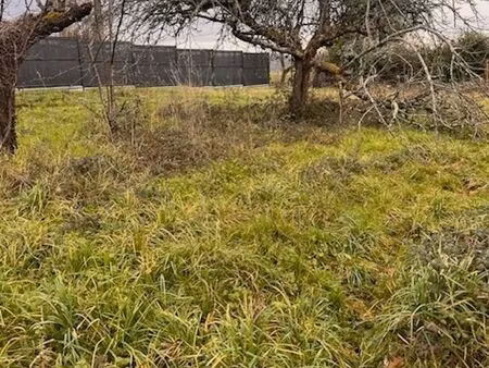 vente terrain 1800 m² targon (33760)