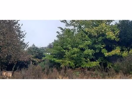 terrain à bâtir à bordeaux (33300)