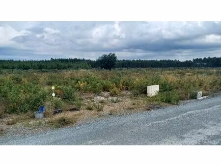 vente terrain 767 m² lanton (33138)