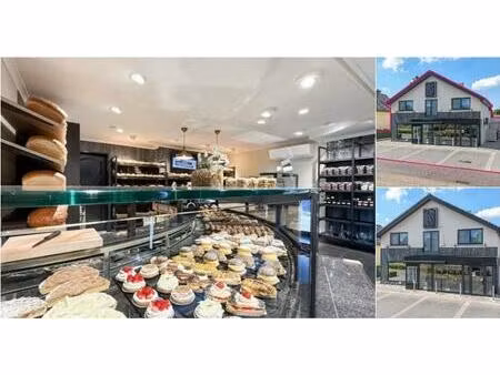 surface commerciale à vendre à dorpshof 1 heusden-zolder (rbv03907)