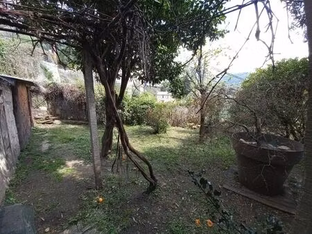 vente maison 10 pièces 169 m² olmeto (20113)