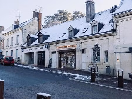 vente local industriel fondettes (37230)