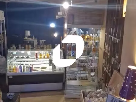 local commercial montpellier ecusson