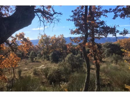 annonce terrain à vendre