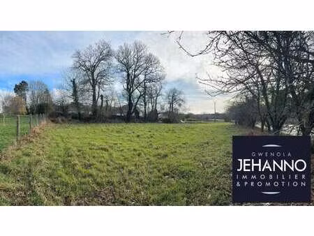 vente terrain à grand-champ (56390) : à vendre / 1323m² grand-champ