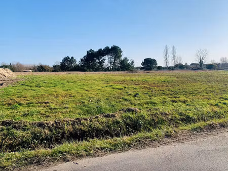 vente terrain à construire 1205 m² pugnac (33710)