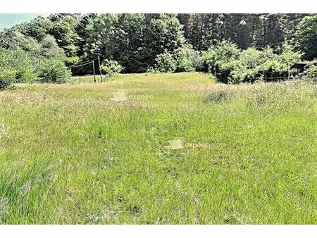terrain sondernach 2576 m2 dont 8 ares constructibles  non viabilisé.